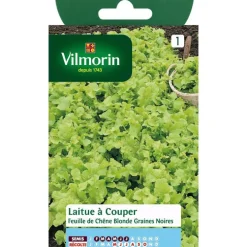 Graines de laitue feuille de chêne blonde Vilmorin - graines à semer