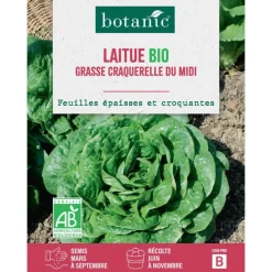 Graines de laitue grasse craquerelle du midi bio botanic® - graines à semer