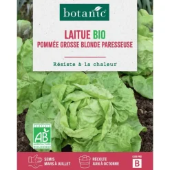 Graines de laitue grosse blonde paresseuse bio botanic® - graines à semer