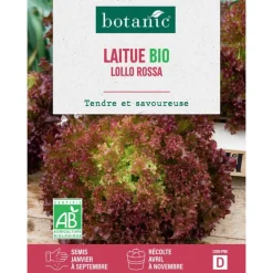 Graines de laitue lollo rossa bio botanic® - graines à semer