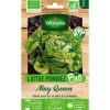 Graines de laitue may queen bio Vilmorin - graines à semer