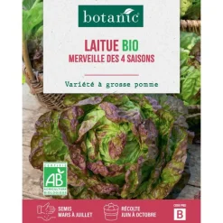 Graines de laitue merveille à 4 saisons bio botanic® - graines à semer