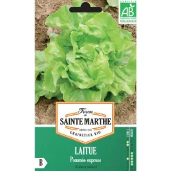 Graines de laitue pommée express bio Ferme de Sainte Marthe - graines à semer