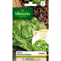 Graines de laitue pommée kinemontepas Vilmorin - graines à semer