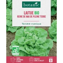 Graines de laitue reine de Mai de pleine terre bio botanic® - graines à semer