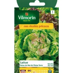 Graines de laitue reine de mai pleine terre Vilmorin - graines à semer