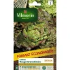 Graines de laitue rouge grenobloise Vilmorin - graines à semer