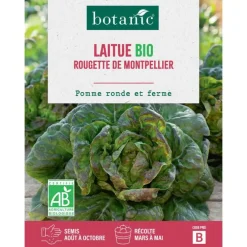 Graines de laitue rougette de Montpellier bio botanic® - graines à semer