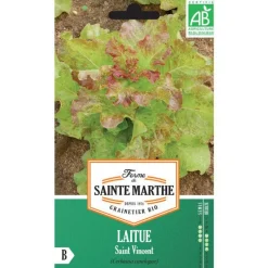 Graines de Laitue Saint Vincent bio Ferme de Sainte Marthe - 500 graines à semer