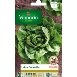 Graines de laitue sucrette Vilmorin - graines à semer