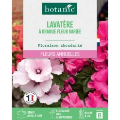 Graines de lavatère à grande fleur variée botanic® - graines à semer