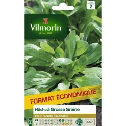 Graines de mâche à grosse graine Vilmorin - graines à semer