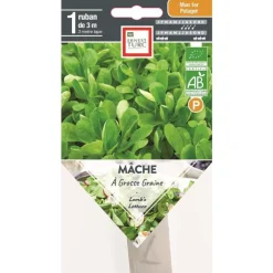 Graines de Mâche à grosse graine bio Ernest Turc - graines à semer