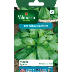 Graines de mâche Agathe Vilmorin - graines à semer