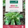 Graines de mâche coquille de Louviers bio botanic® - graines à semer