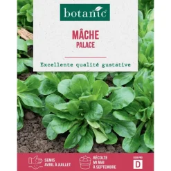 Graines de mâche palace botanic® - graines à semer