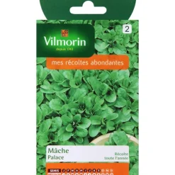 Graines de mâche palace Vilmorin - graines à semer