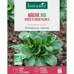 Graines de mâche verte à cœur plein bio botanic® - graines à semer