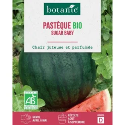 Graines de melon d'eau pastèque sugar baby bio botanic® - graines à semer