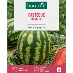 Graines de melon d'eau (pastèque) Pauline HF1 botanic® - graines à semer
