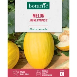 Graines de melon jaune canari botanic® - graines à semer
