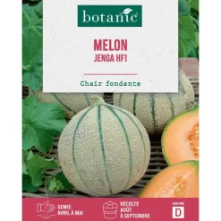 Graines de melon jenga hybride f1 botanic® - graines jenga semer