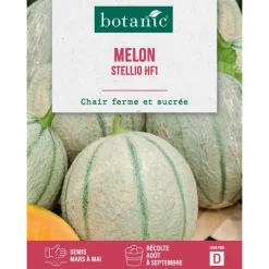 Graines de melon stellio HF1 botanic® - graines à semer