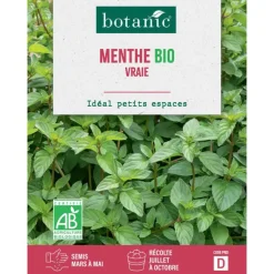 Graines de menthe vraie bio botanic® - graines vraie semer