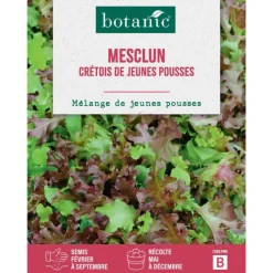 Graines de mesclun cretois de jeunes pousses botanic® - graines à semer
