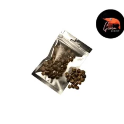 Graines de moringa pour les crevettes d'aquarium Gioiashrimp – sachet de 50