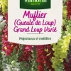 Graines de Muflier Grand Loup varié Vilmorin - graines à semer
