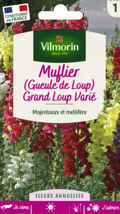 Graines de Muflier Grand Loup varié Vilmorin - graines à semer