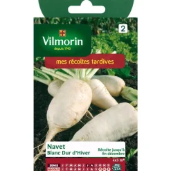 Graines de navet blanc dur d'hiver Vilmorin - graines à semer