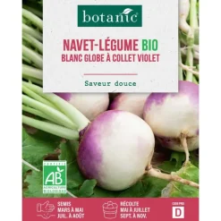 Graines de navet blanc globe à collet violet bio botanic® - graines à semer