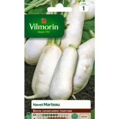 Graines de navet marteau Vilmorin - graines à semer