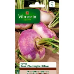 Graines de navet rave d'Auvergne hâtive Vilmorin - graines à semer