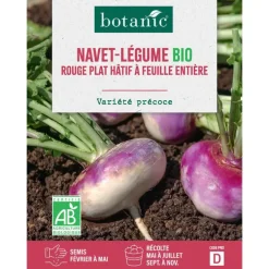 Graines de navet rouge plat hâtif à feuille entière bio botanic® - graines à semer