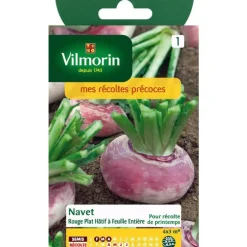 Graines de navet rouge plat hâtif Vilmorin - graines à semer