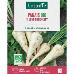 Graines de panais demi-long de Guernesey bio botanic® - graines à semer