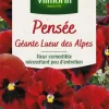 Graines de Pensée géante Lueur des Alpes Vilmorin - graines à semer