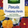Graines de Pensée Printania variée Vilmorin - graines à semer