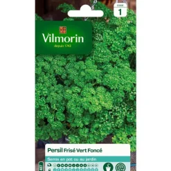 Graines de persil frisé vert foncé Vilmorin en sachet - graines à semer