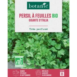 Graines de persil géant d'Italie bio botanic® - graines à semer