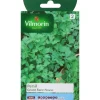 Graines de persil géant race novas Vilmorin - graines à semer
