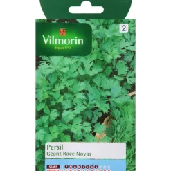 Graines de persil géant race novas Vilmorin - graines à semer