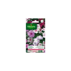 Graines de Pervenche de Madagascar variée Vilmorin - graines à semer
