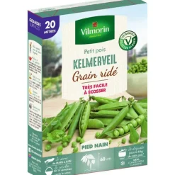 Graines de petit pois Kelmerveil grain ridé Vilmorin - graines à semer