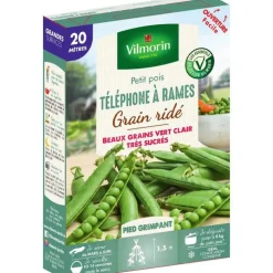 Graines de petit pois téléphone à rames grain ridé Vilmorin - graines à semer