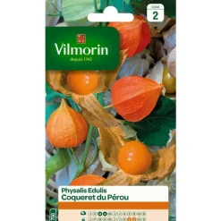 Graines de physalis Edulis Coqueret du Pérou Vilmorin - graines à semer
