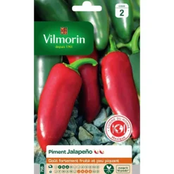 Graines de piment jalapeno Vilmorin - graines à semer